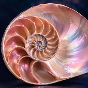 ULGA: SPIRALA KOBIET | Natalia Celej