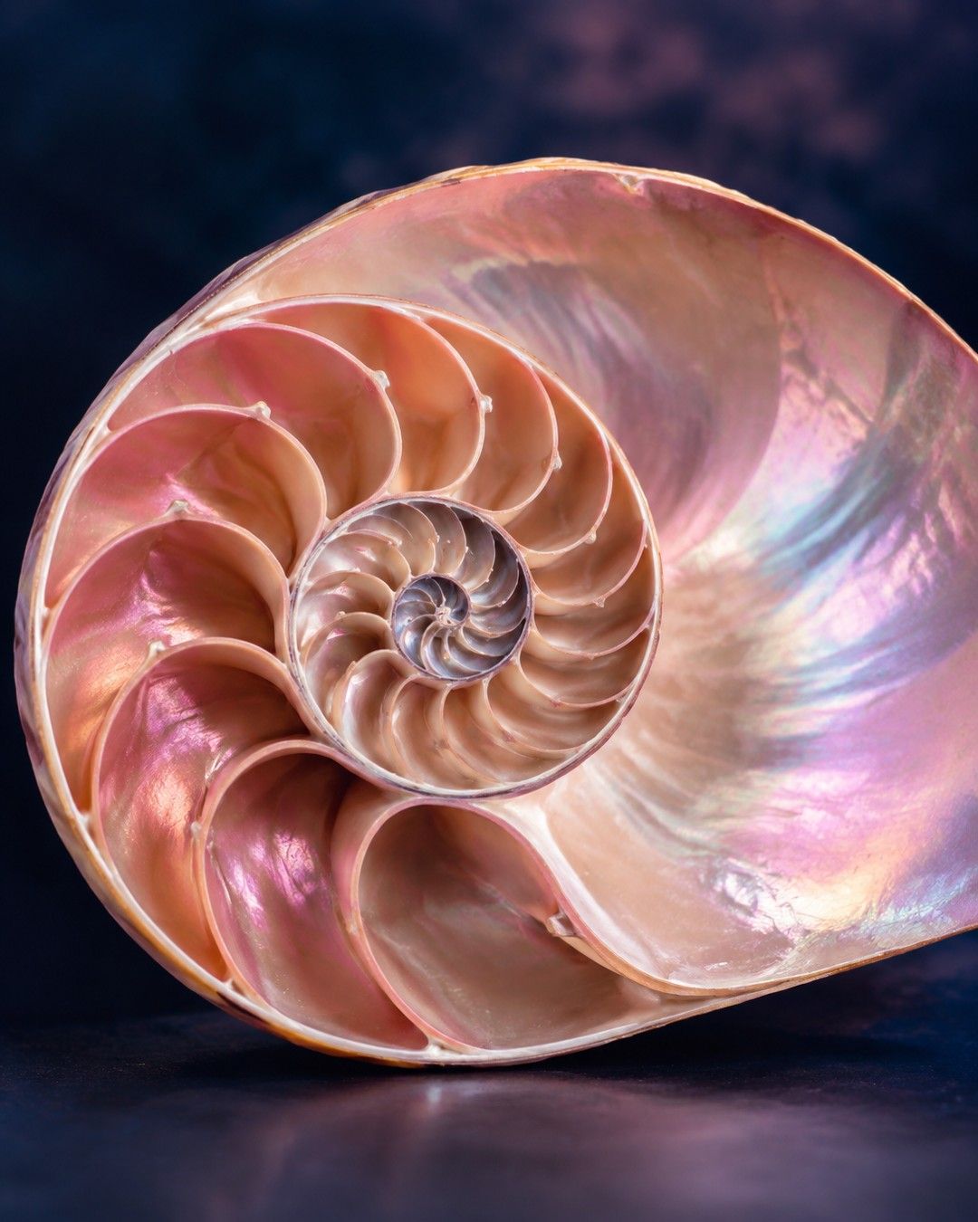 ULGA: SPIRALA KOBIET | Natalia Celej
